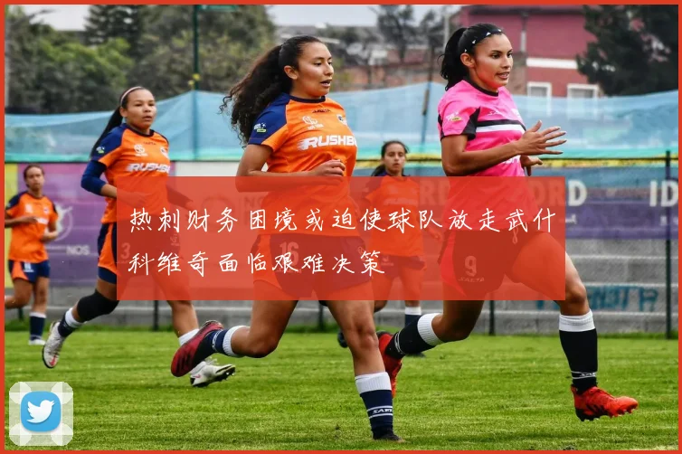 热刺财务困境或迫使球队放走武什科维奇面临艰难决策